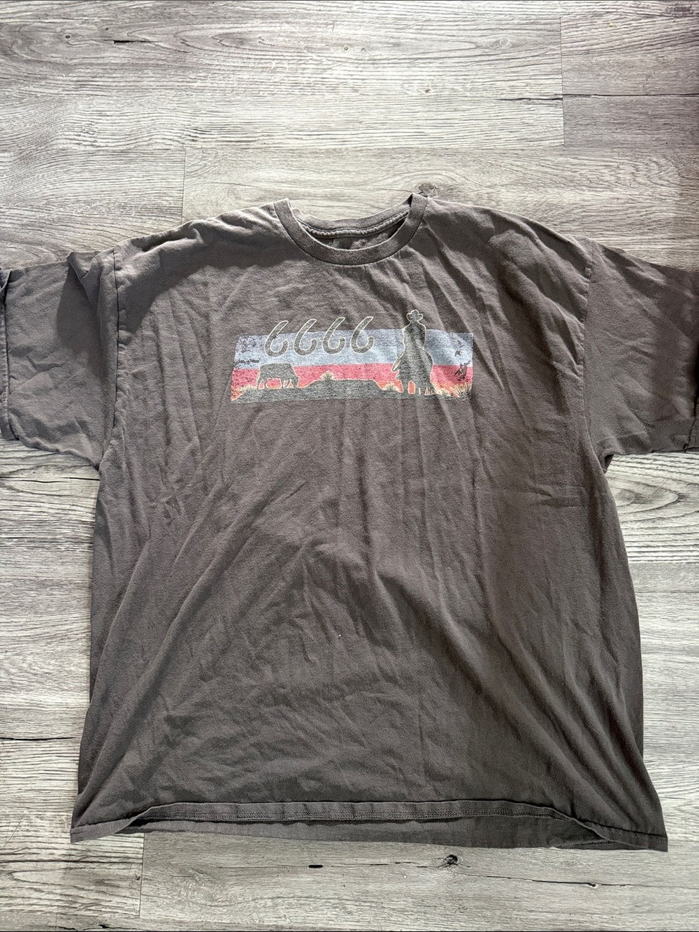 Hanes Grey Short‑Sleeve Graphic Tee with Sunset Silhouette